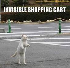 Image result for invisible cat