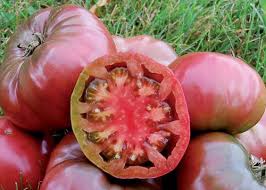 Afbeeldingsresultaat voor cherokee purple tomato