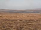 Byerhope Moss (3g). With the green NY8748 : Shooting Cabins on the horizon, - via Daymix