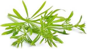 Attēlu rezultāti vaicājumam “Galium aparine leaf”