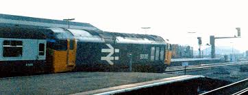 Image result for Basingstoke Sc