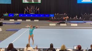 Image result for Tamworth Olympic Gymnastics Club