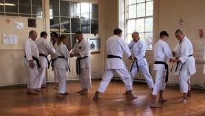 Image result for enpi dojo