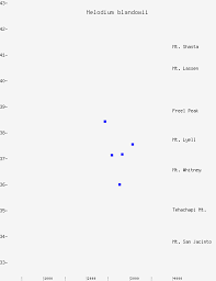 Attēlu rezultāti vaicājumam “Helodium blandowii”