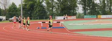Image result for Ipswich Jaffa Athletics Club