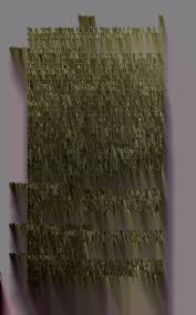 Attēlu rezultāti vaicājumam “Didymium xanthopus”