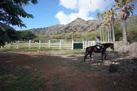 Image result for Cliff Hatch Stables
