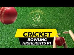 Image result for Old Woking Cricket Club