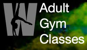 Image result for Wade Gymnastics Club