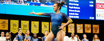 Image result for Weybridge Gymnastics