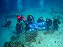 Image result for Meadurst Sub-Aqua Club