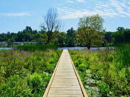 Image result for Acton Sc