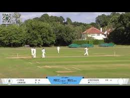 Image result for Oxshott Village Cricket Club