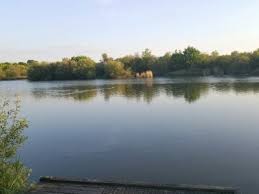 Image result for Becmain Angling Society