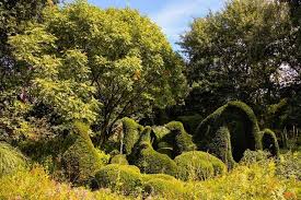 Image result for Priona Tuinen