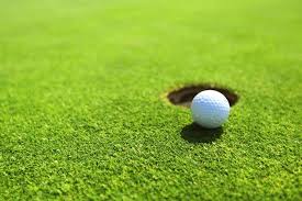 Image result for Brookdale Golf Club
