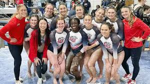 Image result for York University Gymnastics Club