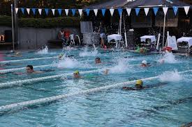 Image result for Loftus Dolphins Swimming Club