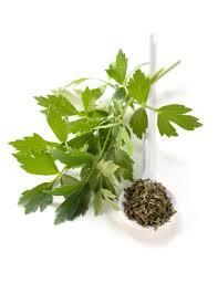 Image result for Liebstöckel