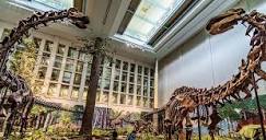 Insider's Guide: Carnegie Museums of Art and Natural History ...
