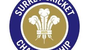 Image result for Wimbledon Cricket Club