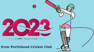 Image result for Portishead Cricket Club