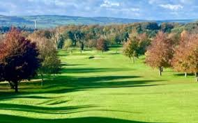 Image result for Carlow Golf Club
