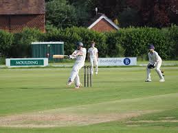 Image result for South Wilts Cricket Club