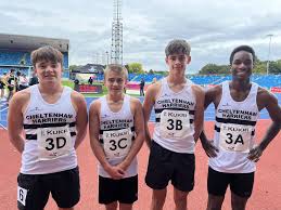 Image result for Cheltenham and County Harriers