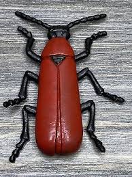 Attēlu rezultāti vaicājumam “Pyrochroa coccinea”