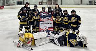 Image result for Vipers Roller Hockey Team