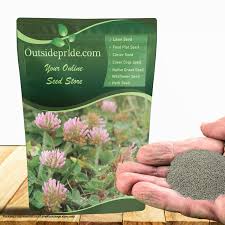 Attēlu rezultāti vaicājumam “Trifolium fragiferum”