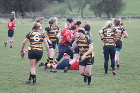 Image result for Wensleydale Rugby Union Football Club
