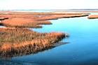 Estuaries