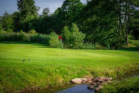 Image result for Shropshire Disc Golf Club