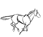 horse run THE BEST by *drajk on deviantART