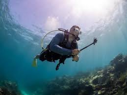 Image result for Looe Diving Club