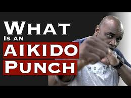 Image result for AikidoFlow