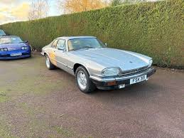 Image result for Platinum 1979 Jaguar