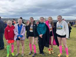Image result for Alnwick Harriers