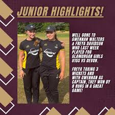 Image result for Pentyrch Cricket Club