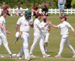 Image result for Cornwood Cricket Club