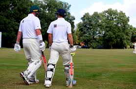 Image result for Bucklebury Cricket Club