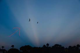 Attēlu rezultāti vaicājumam “anticrepuscular rays”