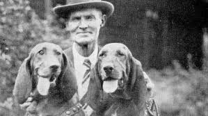 Image result for Carlisle BloodHounds