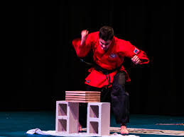 Image result for Elite Force Martial Arts