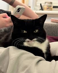 Kết quả hình ảnh cho Jy...N