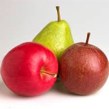 Attēlu rezultāti vaicājumam “Rosaceae”