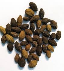 Attēlu rezultāti vaicājumam “Badhamia dubia sessile”