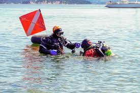 Image result for Breakwater Divers